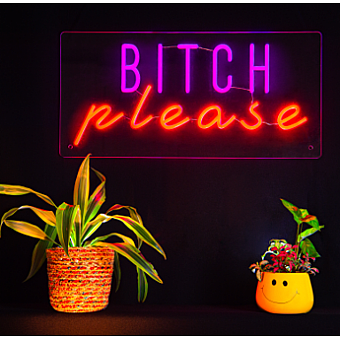 Bitch Please - ABC23018